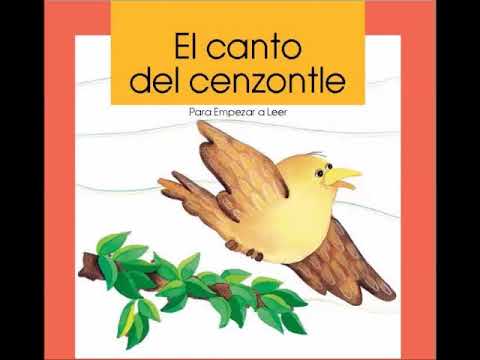 Cuento de cenzontle: La canción del bosque