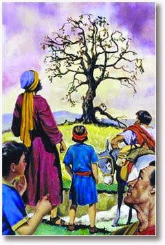 El Árbol Sin Frutos: Una Historia de Esperanza y Amistad  ✨