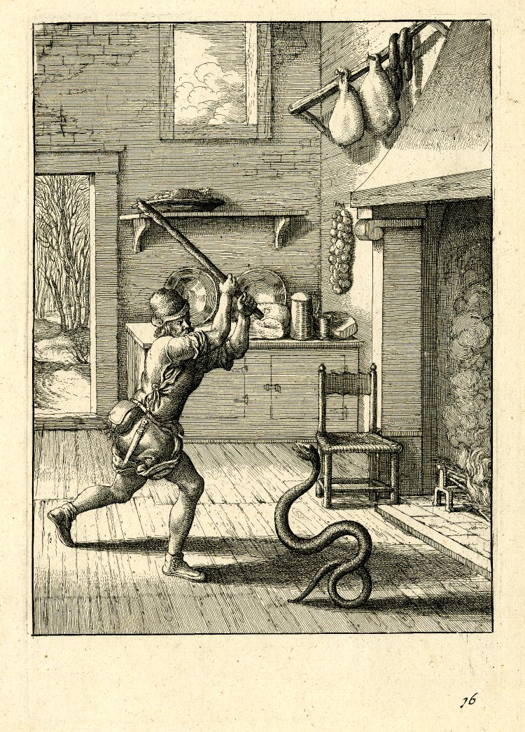 El hombre y la serpiente ✨: Una historia de confianza y traición 2 El hombre y la serpiente ✨: Una historia de confianza y traición