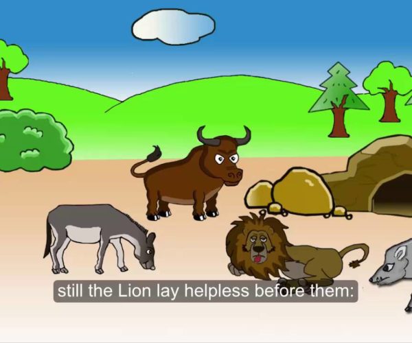 El León Enfermo: Una Lección de Amistad y Solidaridad  ❤️