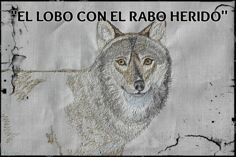 El lobo con el rabo herido y su inesperada amistad