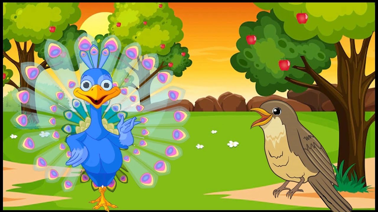 El pájaro y el pavo real: Una historia de humildad