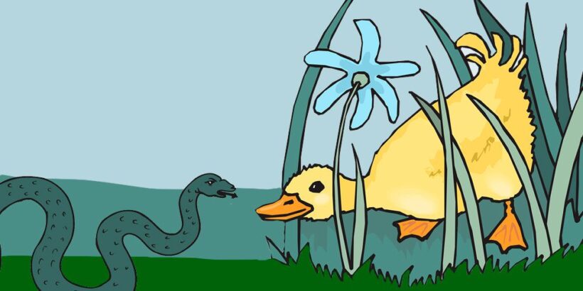 El Pato Serpiente y su Amistad Inusual ✨ 5 El Pato Serpiente y su Amistad Inusual ✨