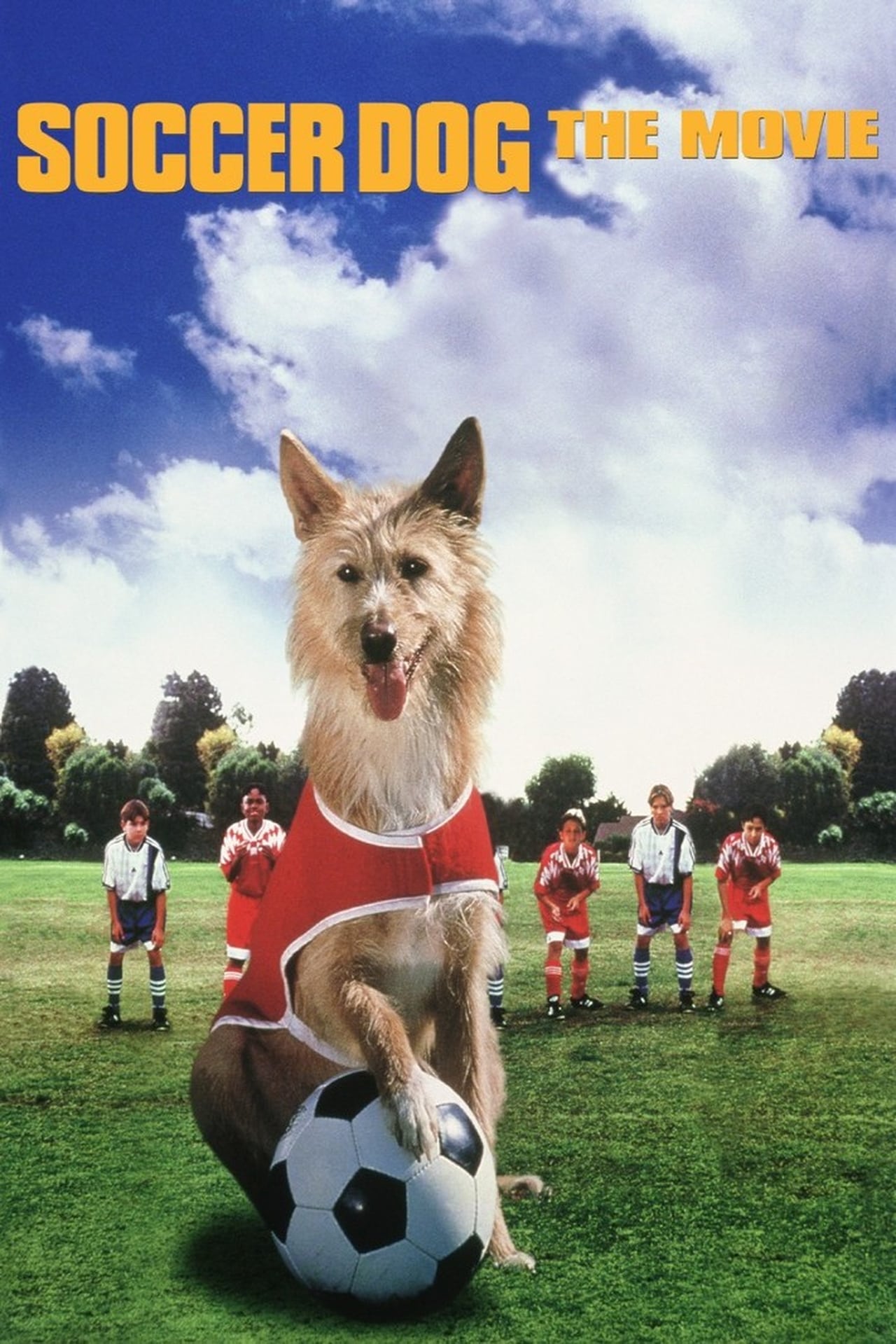 El perro futbolista que soñaba con ser campeón ⚽