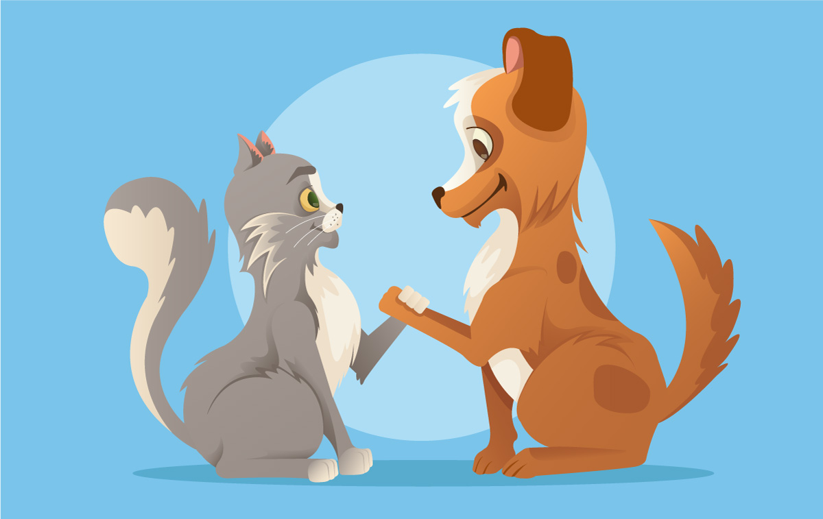 El perro y el gato: una historia de amistad verdadera  ✨