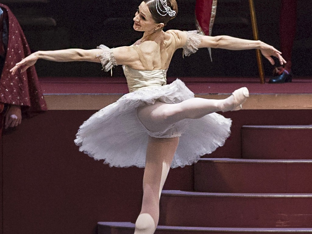 La Bella Durmiente y el Encanto del Sueño Eterno  ✨