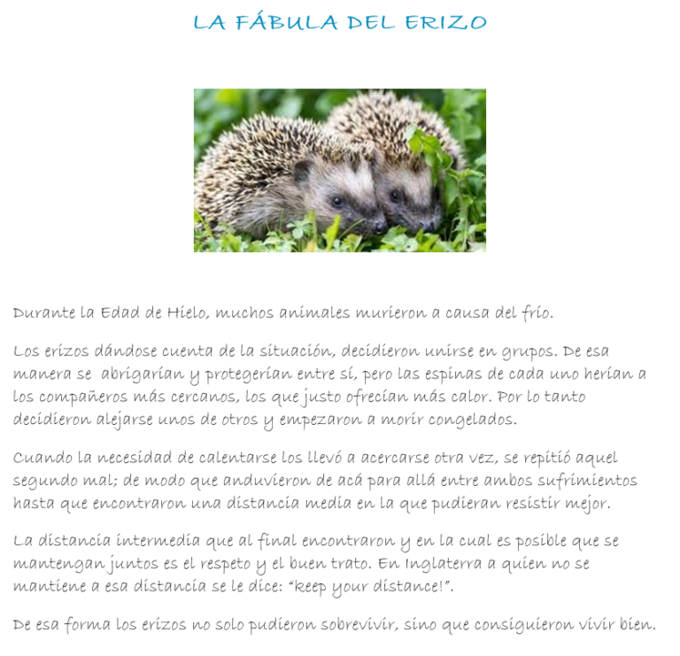 La fabulita del erizo: una historia de amistad y valentía ✨ 3 La fabulita del erizo: una historia de amistad y valentía ✨