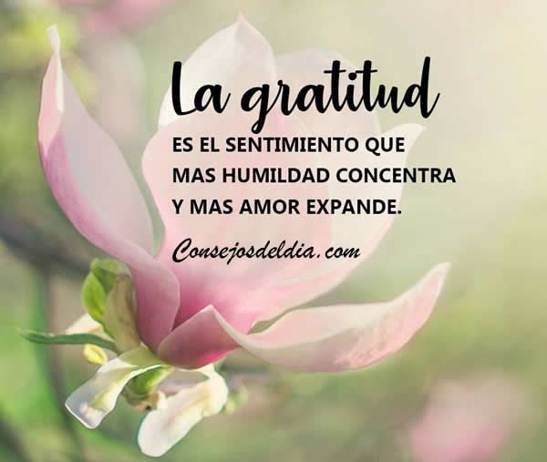 La gratitud: Un regalo que transforma nuestras vidas  ❤️