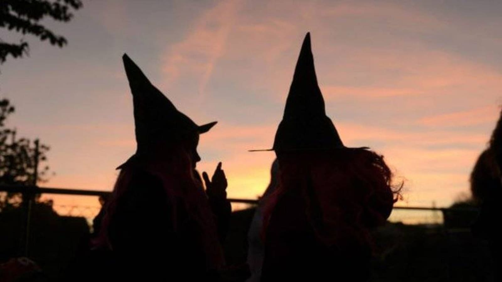 La Halloween: Un Viaje Encantado a la Noche de Brujas  ✨