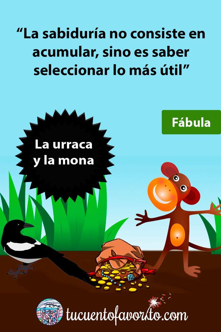 La historia de la urraca y la mona: amistad inesperada 2 La historia de la urraca y la mona: amistad inesperada