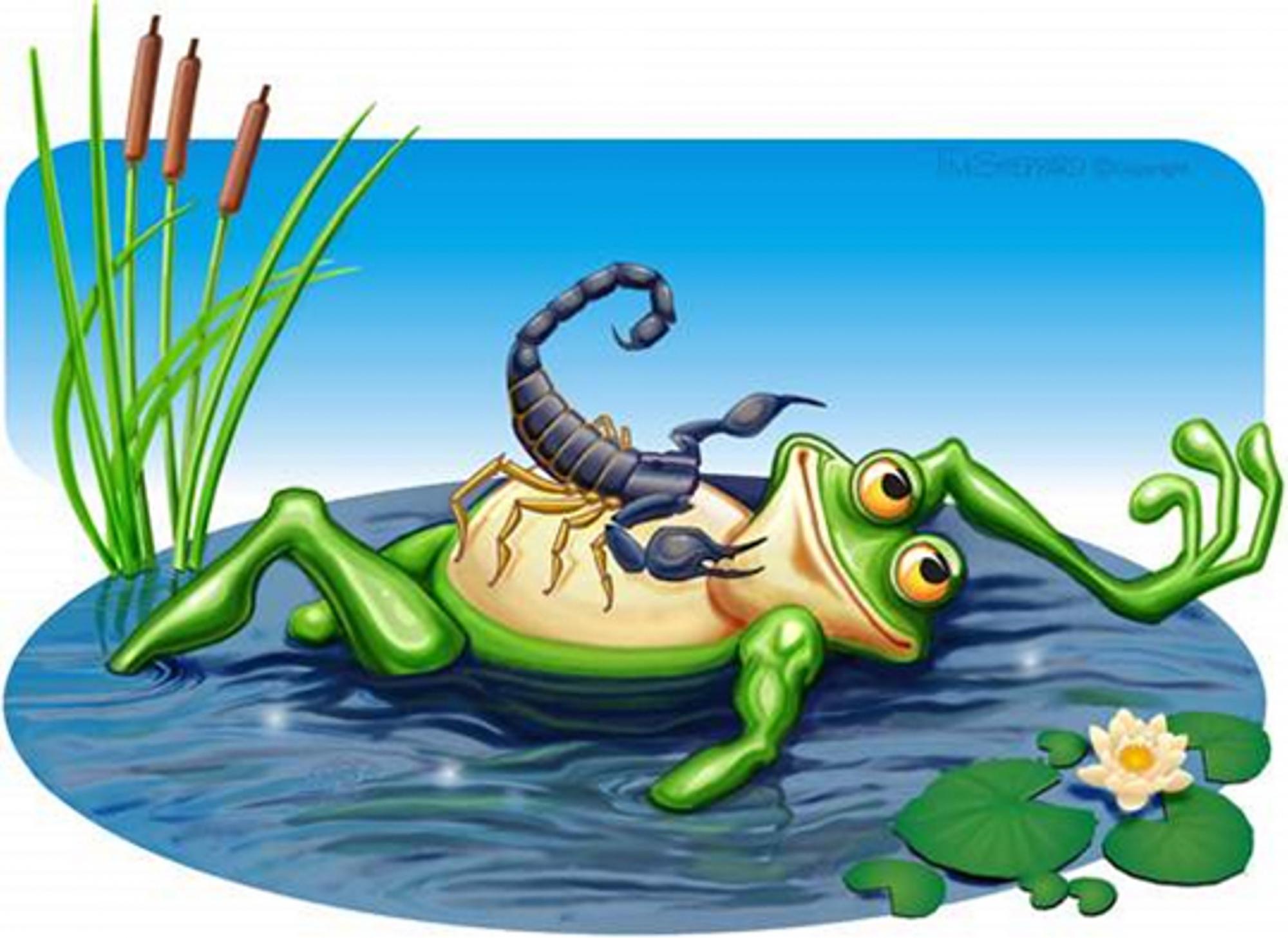 La Rana y el Escorpión: Una Historia de Confianza y Ternura