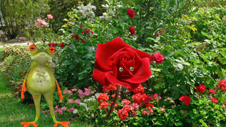 La Rosa y el Sapo: Un Encuentro Mágico en el Jardín