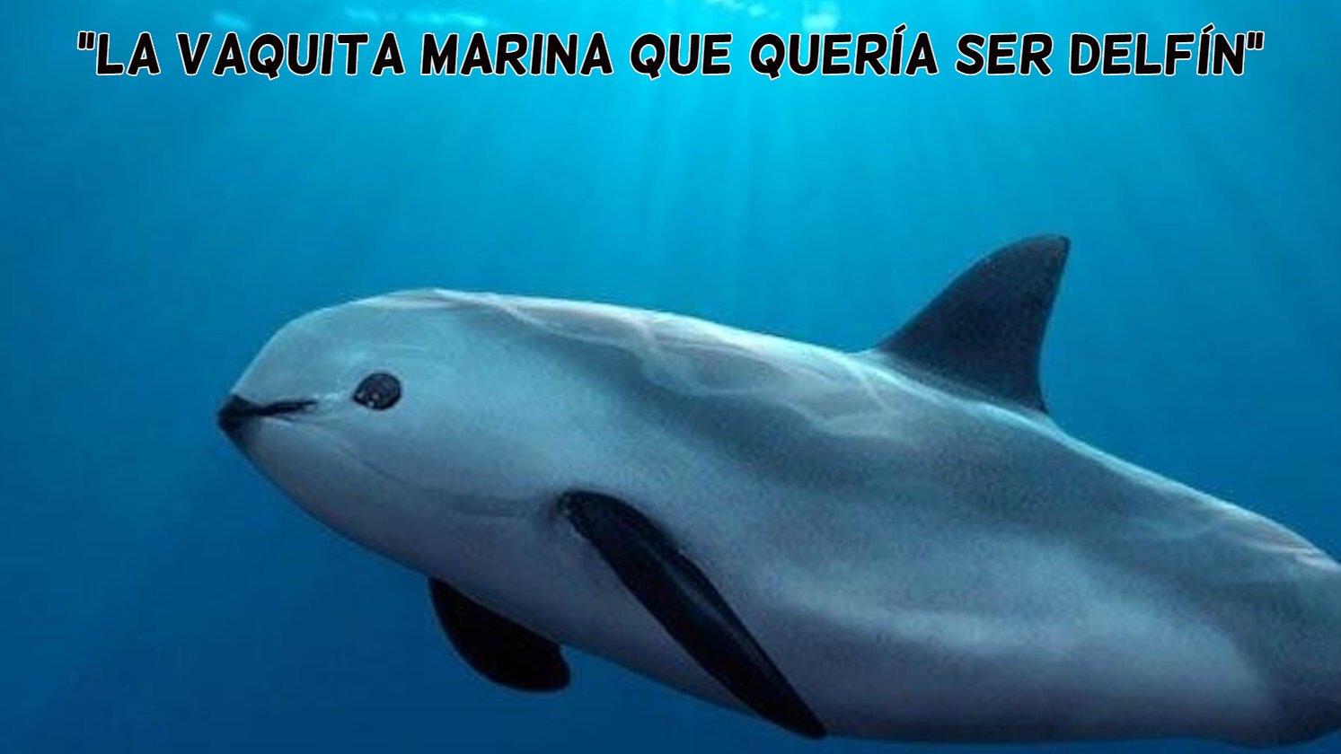 La vaquita marina que quería ser delfín  ✨