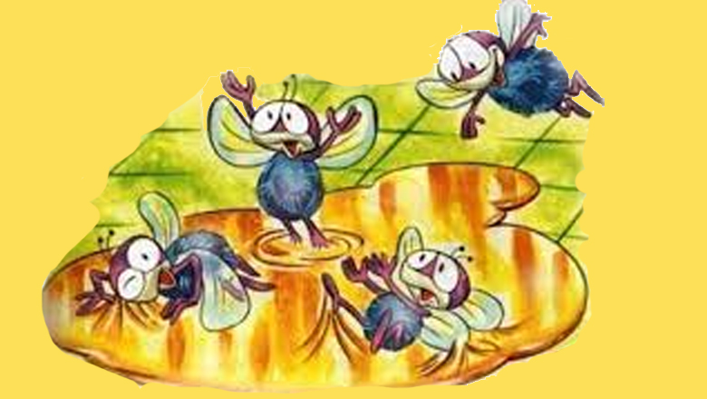 Las moscas y la miel: una dulce historia llena de sorpresas  ✨