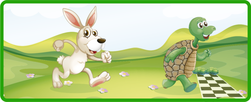 Liebre Tortuga: Una Carrera Inesperada entre Amigos  ✨