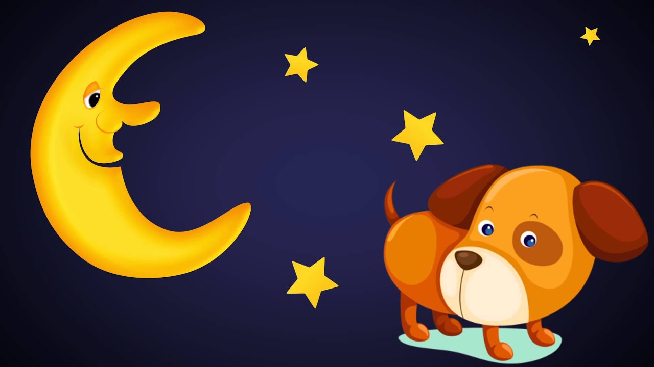 Sandy y la Luna: Una Amistad Brillante y Especial