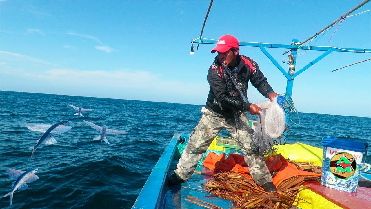 Tiempo Pescador: Una Aventura en el Mar